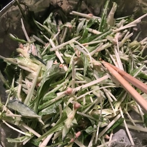シャキシャキ水菜ときゅうりのシーチキンサラダ